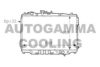 AUTOGAMMA 101131 Radiator, engine cooling